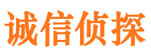 东丰市侦探调查公司